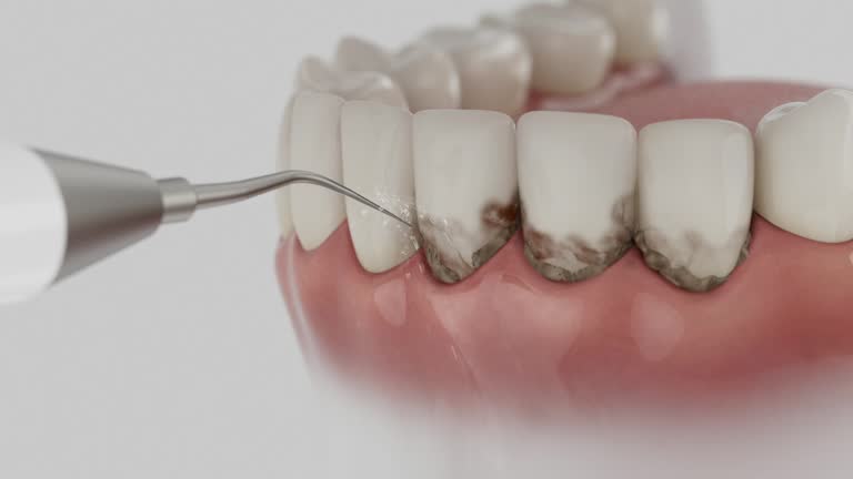 Reliable Dental contractor in McGuire AFB, NJ by Dentist Open Now